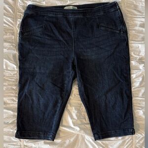 Anthropologie Pilcro Blue Denim Capri Cropped Jeans